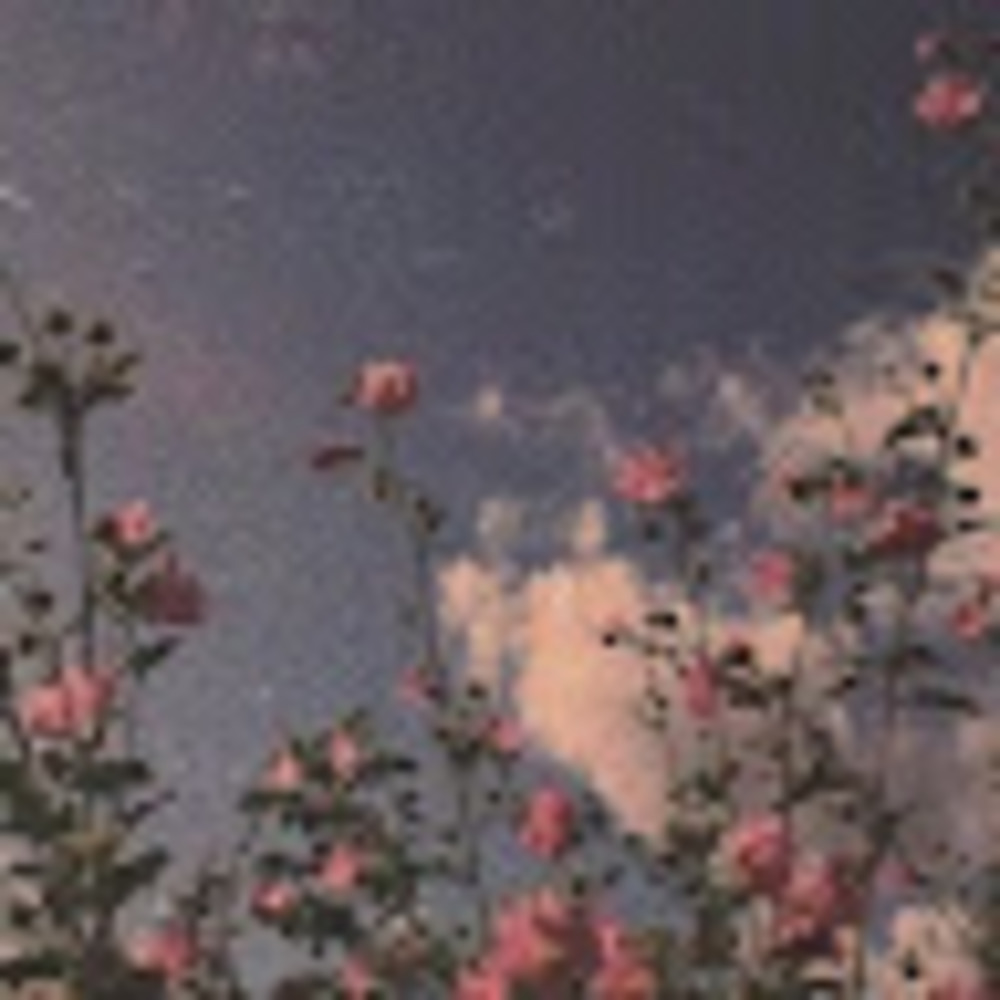 Meet your Posher, Jade